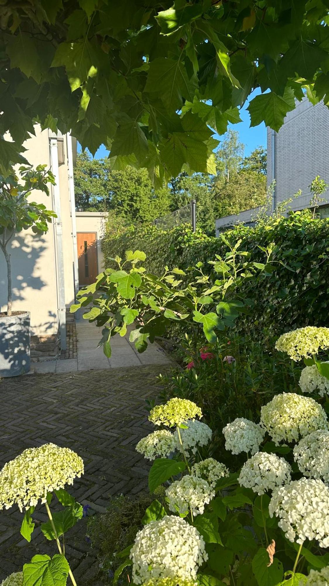 Luxe B&B "In De Schulp", Ontspan En Geniet Van Comfort En Stijl Amstelveen Exteriér fotografie