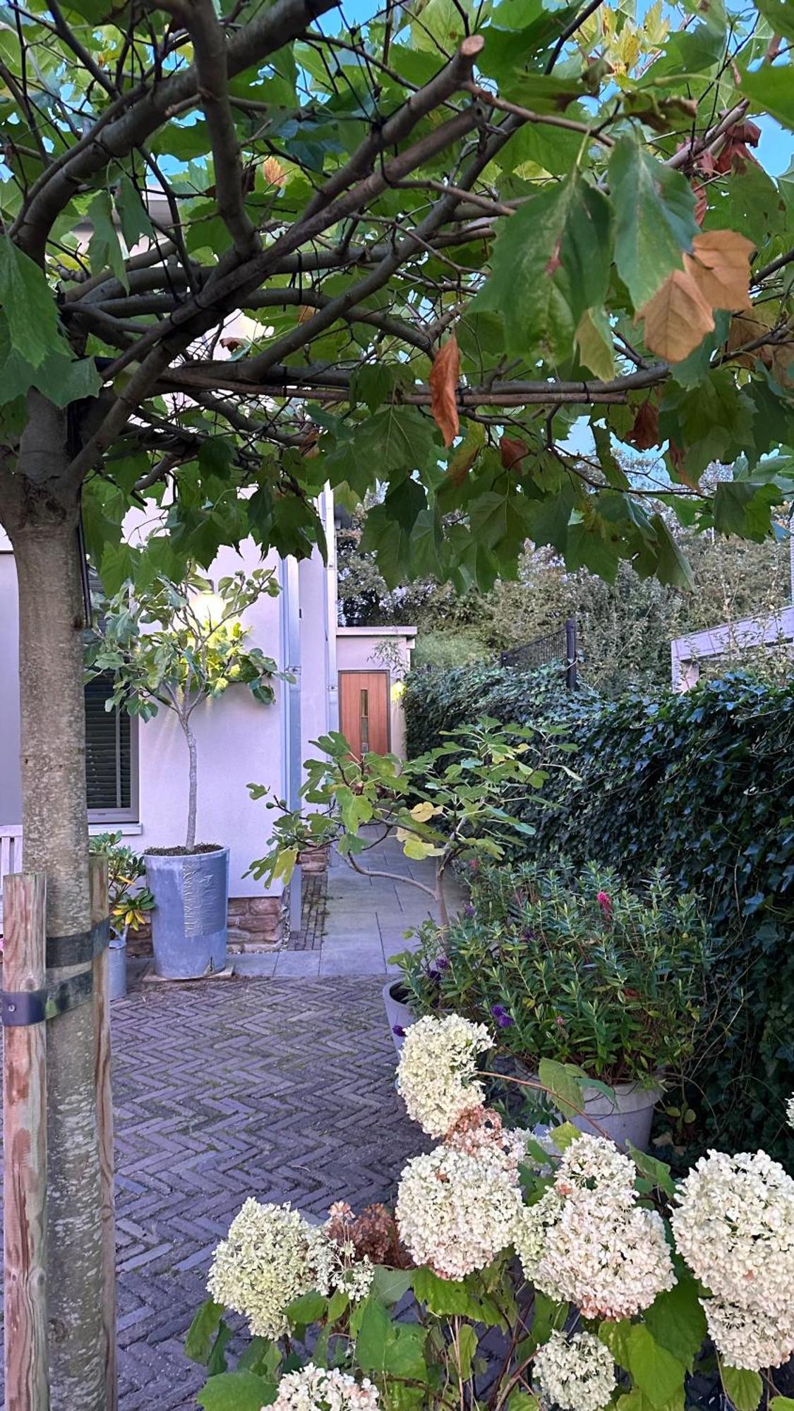 Luxe B&B "In De Schulp", Ontspan En Geniet Van Comfort En Stijl Amstelveen Exteriér fotografie